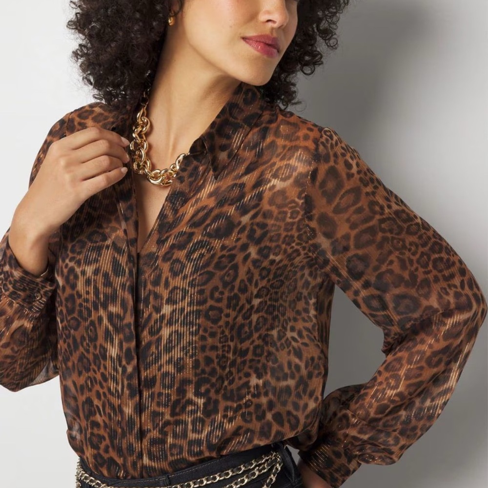 Leopard Print Sheer Blouse